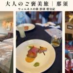 ウェルネスの森 那須の客室・食事・ロビーをまとめた宿泊記のアイキャッチ画像